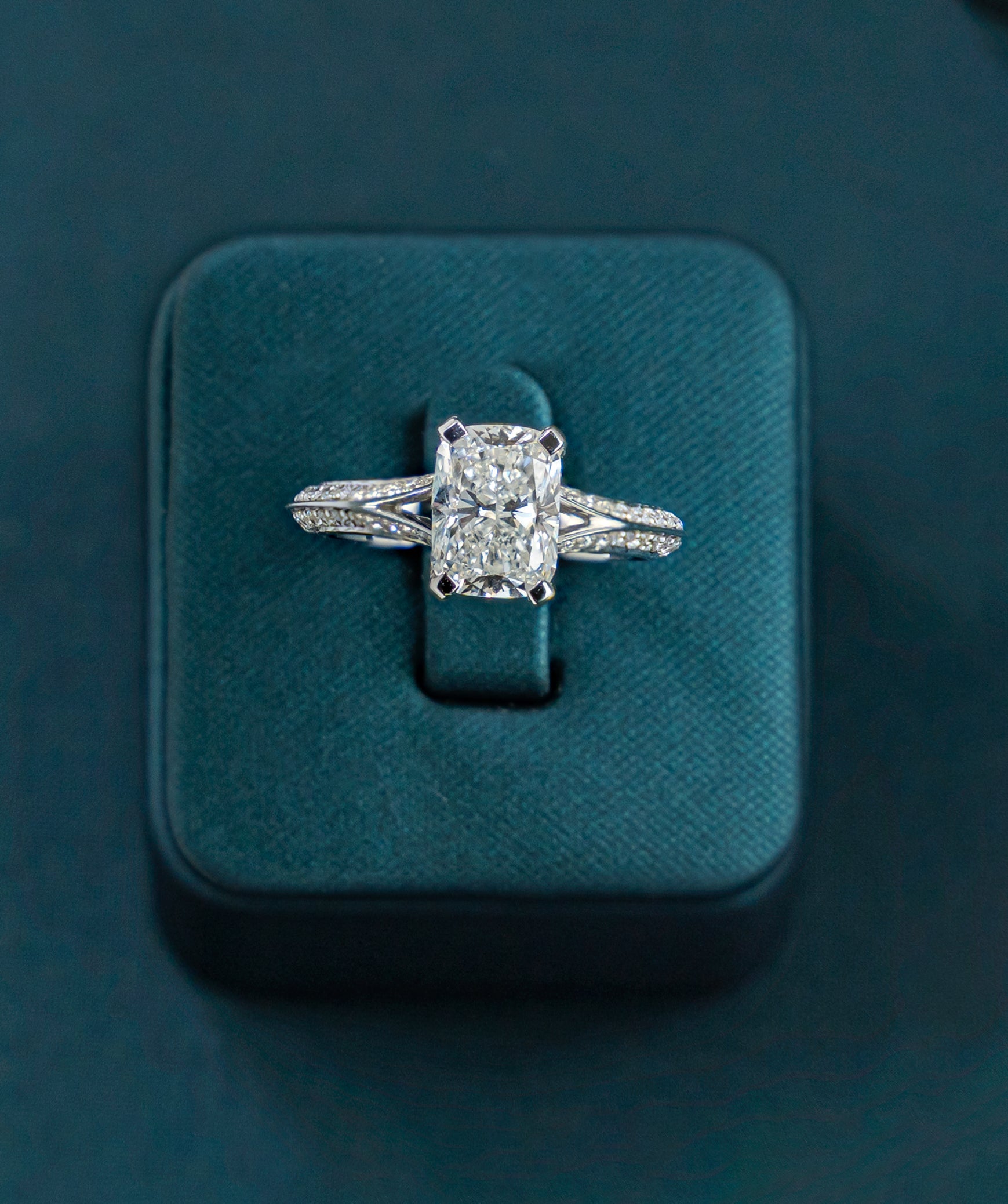 Aveline Cushion Split Ring