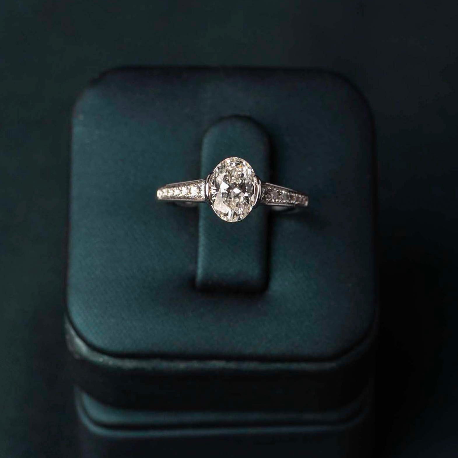 The First Bloom Ring
