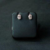 The First Bloom Studs